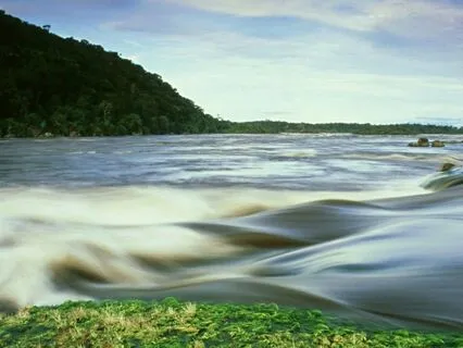 Journey Home To Peace