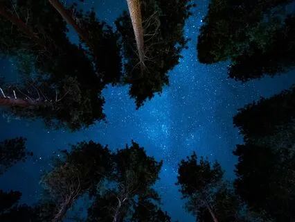 Journey In The Beautiful Stillness Of The Dark Sacred Night