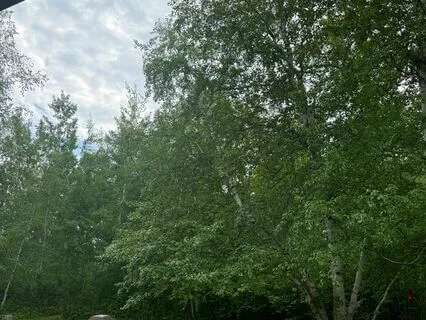 Journey Into Oneself