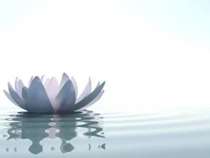 Journey into Relaxation