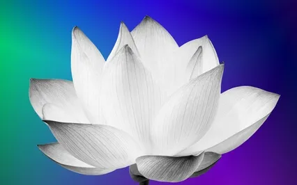 Journey Into The Cave Of The Heart