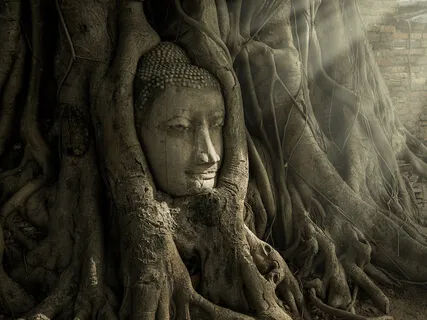 Journey Into the Core Of Your Own Being