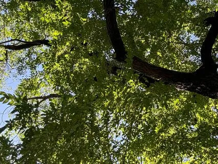 Journey Into The Heart