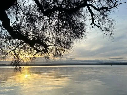 Journey Into The Nerves As A Web Of Light