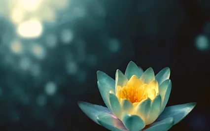 Journey Into Your Heart Meditation