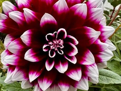 Journey Inward: Soundscape For Nervous System Reset