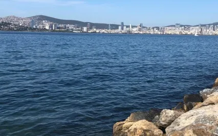 Journey Inwards: Fear And Anxiety To Joy And Compassion