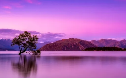 Journey Of Forgiveness