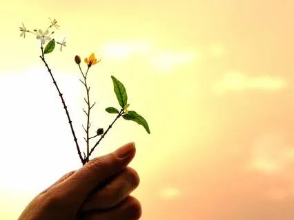 Journey Of Gratitude: Meditation To Embrace Joy & Abundance