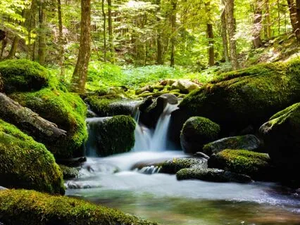 Journey Of Release & Renewal