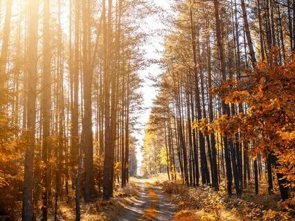 Journey Of Soul Growth, A Solo Podcast