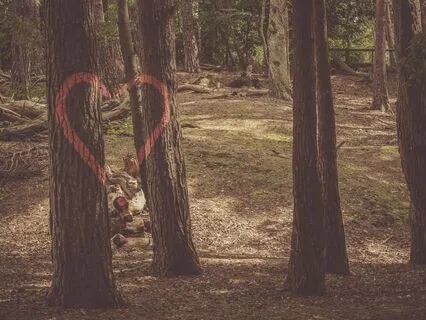 Journey Of The Heart: Deep Soul Connection