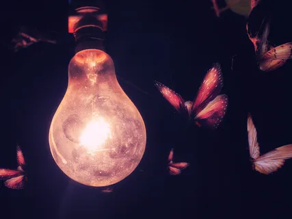 A Guided Sleep Story: Journey Of The Monarch Butterfly