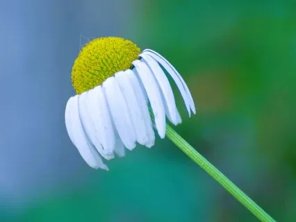 Day 2 ~ Journey Out Of Depression