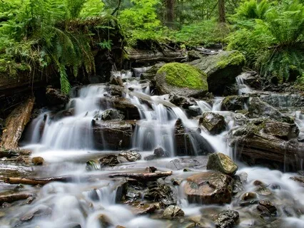 Journey's Inception: A Guided Meditation For Personal Growth