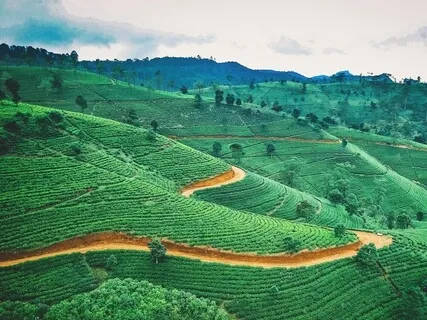 Journey Series 1: Beautiful Sri Lanka