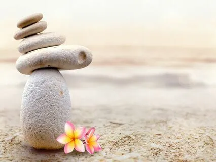 Journey Through Mindfulness Meditation