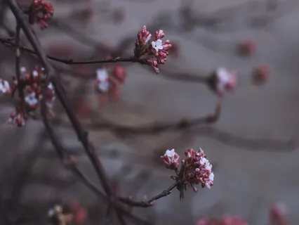 Journey Through The 5 Elements: Embrace All Parts Of Yourself