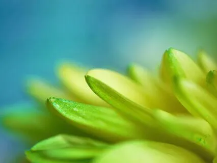 Journey Through The Chakras (Without Background Music)