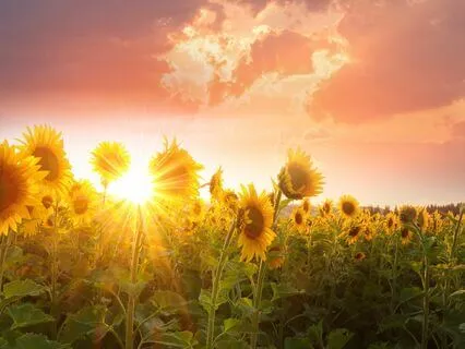 Journey Through The Seasons