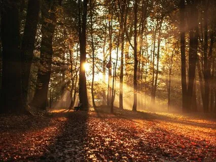 Journey Through The Seasons