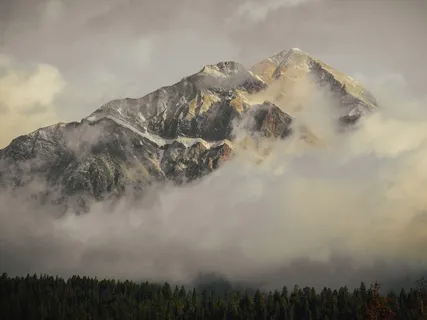 Journey Through The Snow