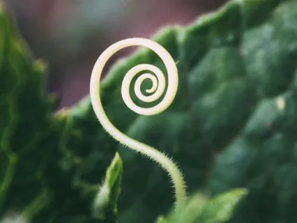 Journey Through The Spiral Of Time