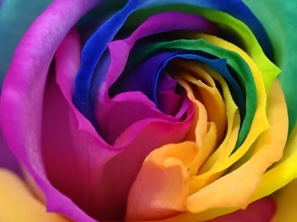 Journey Through Your Chakras