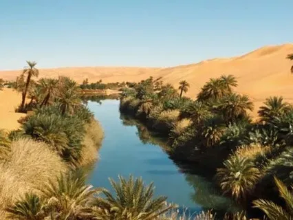 Journey To A Desert Oasis Where You Release And Let Go