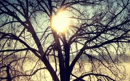 Journey To Acceptance 