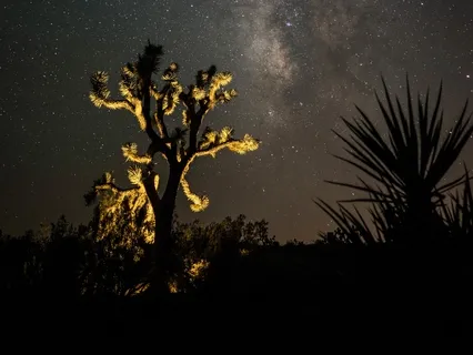 Journey to Awareness and Manifestation