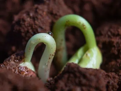 Journey To Binah - "Depth Of Understanding"