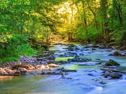 Journey To Break The Spell: Long Bedtime Story