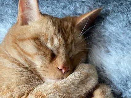 Journey To Comfort, Healing & Deep Sleep