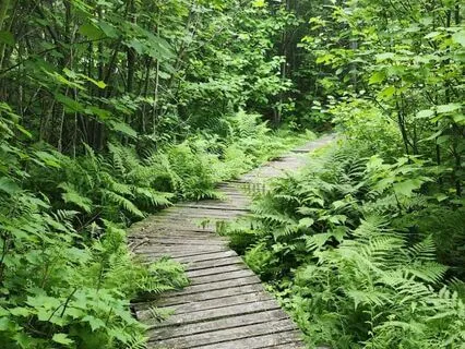 Journey To Connect With Spirit