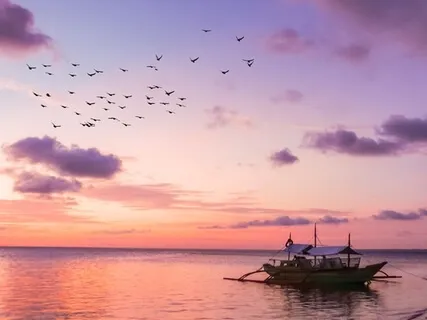 Journey To A Deserted Tropical Island