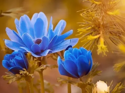 Journey To Empowerment (Part 3)