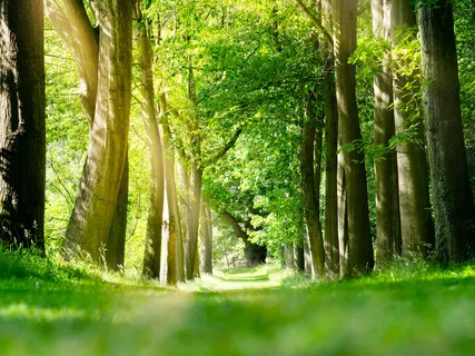 Journey To Empowerment Part 1