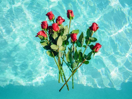 Journey to Fierce Love