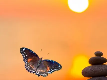 Journey To Inner Calm For Stress And Anxiety Relief