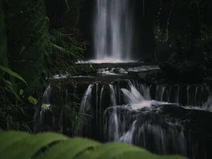 Journey To Inner Clarity: A Forest Visualisation Meditation