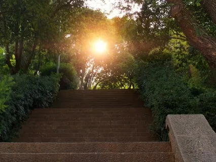 Journey To Inner Harmony