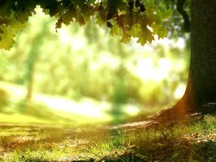 Journey To Integrity - Guided Imagery Meditation