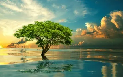 Journey To Mother Nature