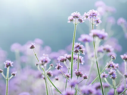 Journey To Remember Who You Are