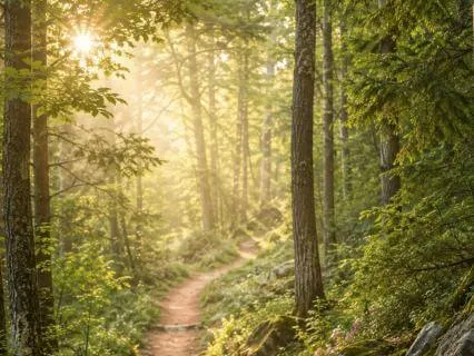 Journey To Remember Your Soul Purpose | Energy Healing