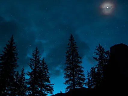 Journey To Rest - Sleep Meditation