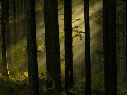 Journey To Self-Forgiveness