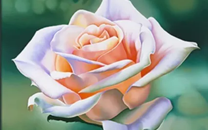 Journey To Self Love