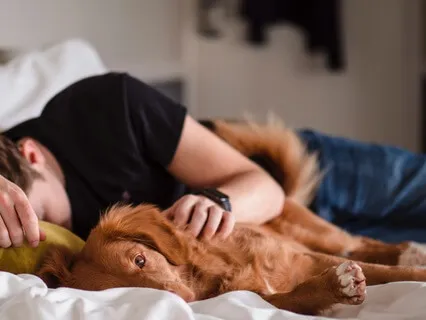 Journey To Serene Slumber